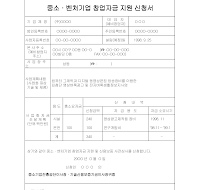 자금신청사업계획서 (광고시장사업계획서) (샘플) 자금신청사업계획서 (광고시장사업계획서) (샘플)